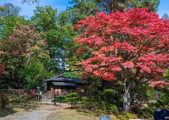 Hotel Mystays Sapporo Nakajima Park