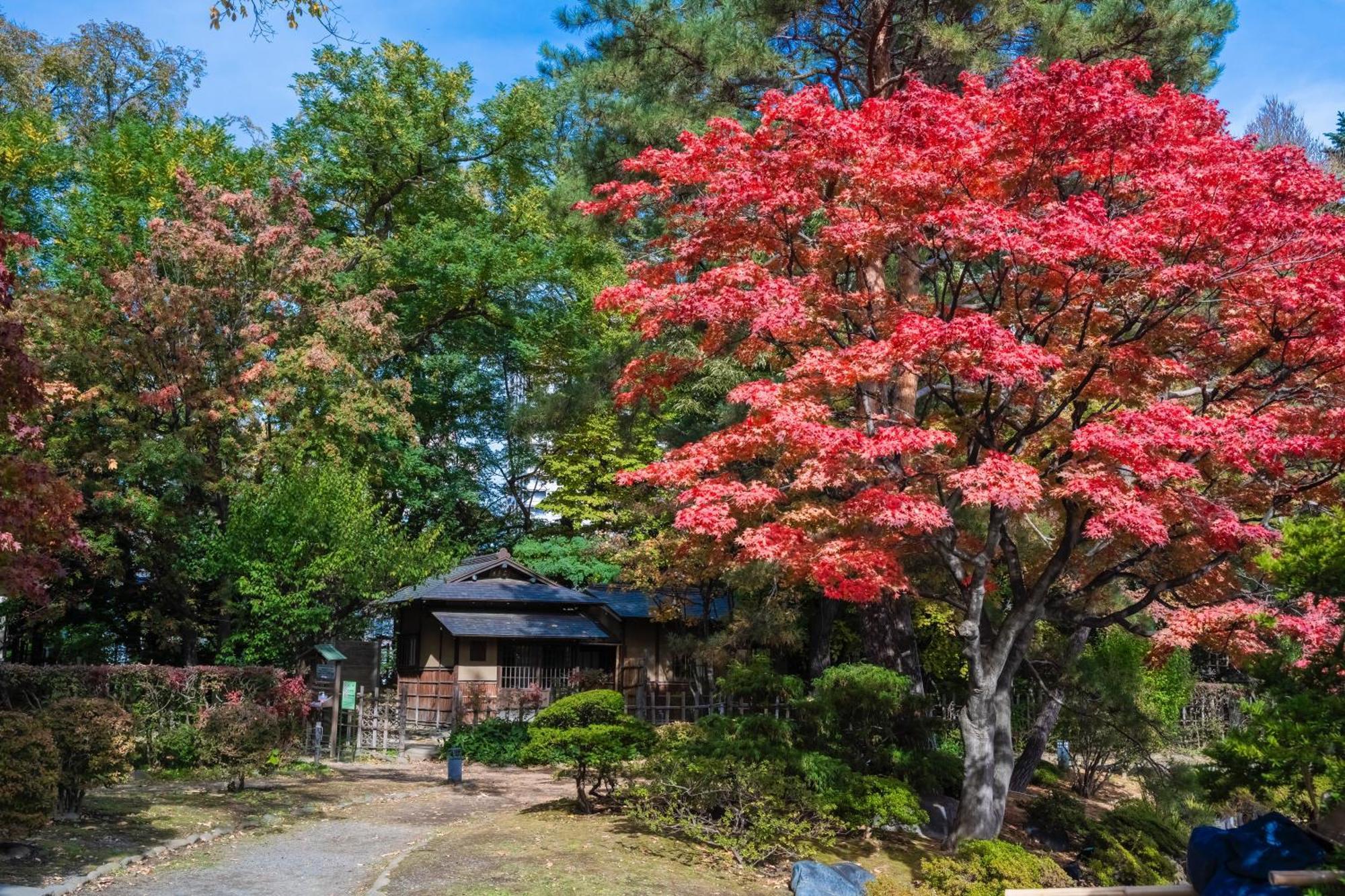 Mystays Nakajima Park 扎幌
