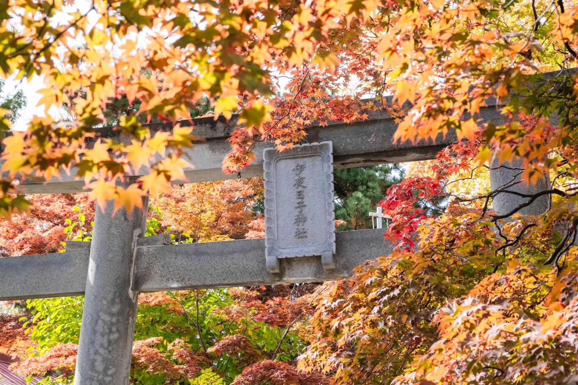 Mystays Nakajima Park 扎幌